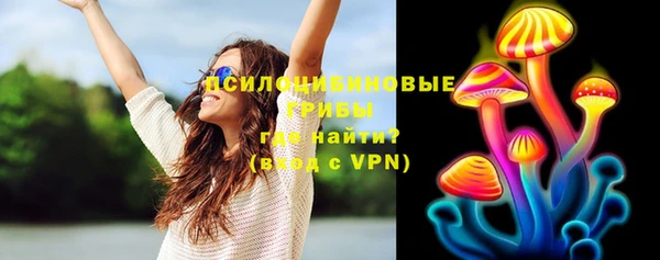 дживик Абаза