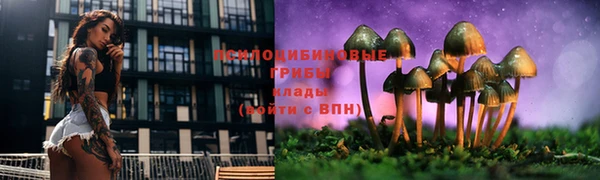 2c-b Абинск
