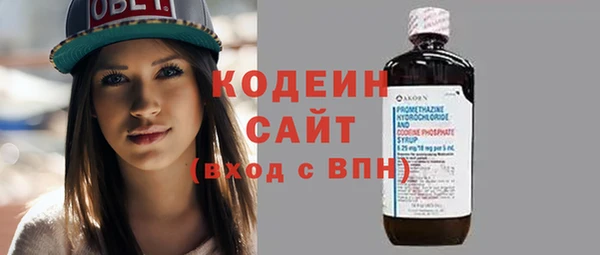 дживик Абаза