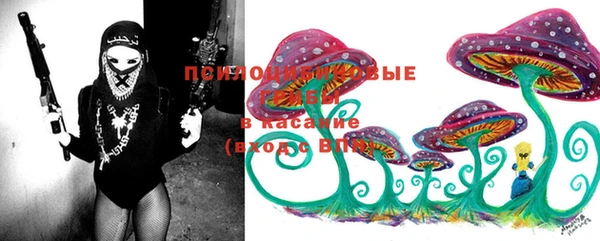 бошки Абдулино