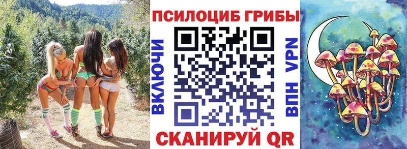 Псилоцибиновые грибы ЛСД  Ачхой-Мартан 