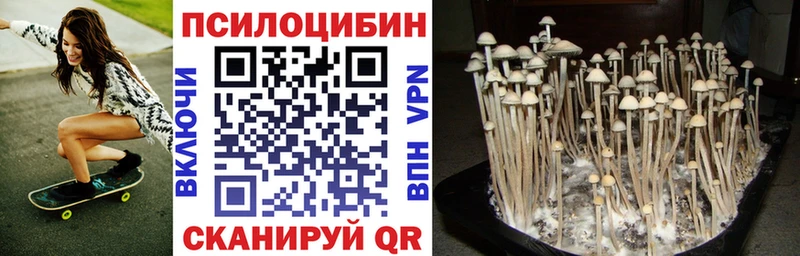 Псилоцибиновые грибы MAGIC MUSHROOMS Ачхой-Мартан