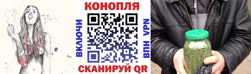 Конопля OG Kush Ачхой-Мартан